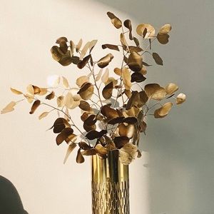 Welcome to my closet! :)